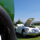 Illustration for article titled Concours on the Green. Eugene, Oregon.
